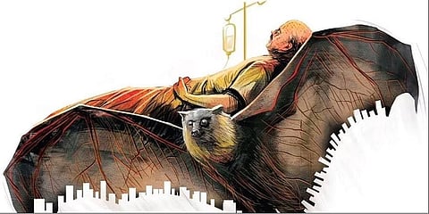 Karnataka to review Nipah virus risk in border districts