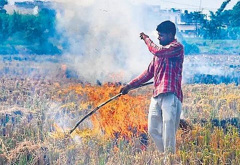 Delhi creates Winter Action Plan to curb dust & pollution, stubble burning