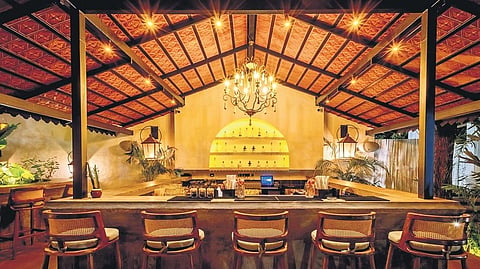 Barfly interiors