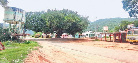 Vachathi hamlet; (right) a report on the brutality in the tribal hamlet that appeared in TNIE dated July 19, 1992 | express