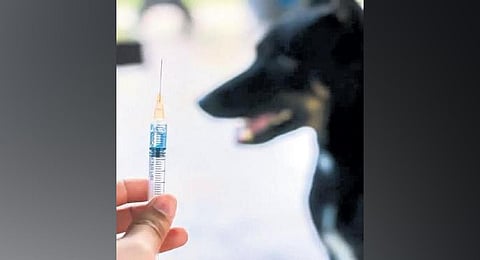 Image used for representational purpose.