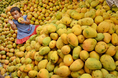 Representational image | Manu R Mavelil
