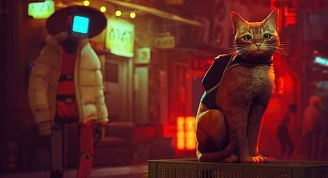 Film adaptation of video game Stray begins development