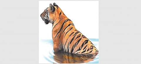 Representational Image
