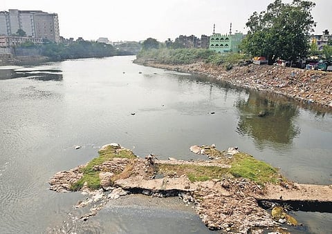 A part of Adyar river near Saidapet | Martin Louis