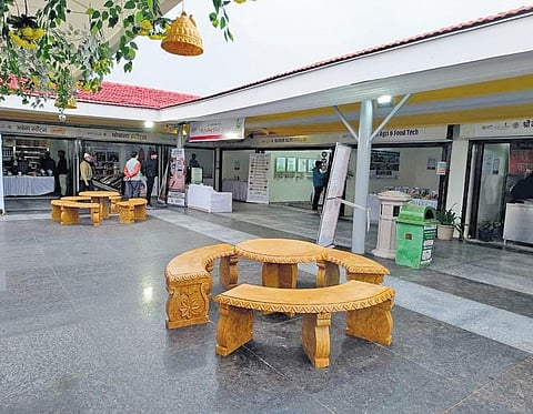 Prasadam, the health food street opened in Ujjain on Sunday | express