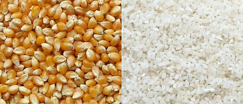 Maize Rate