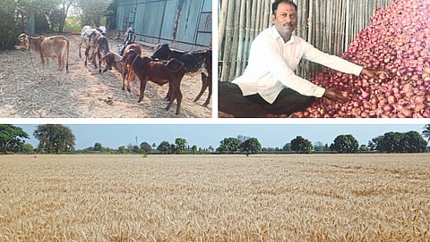 Organic Farming