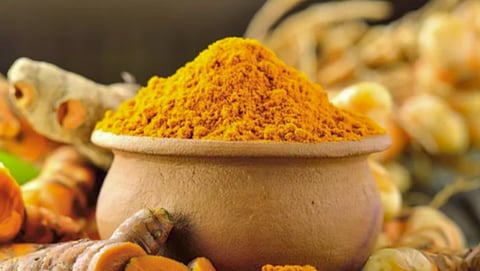 Turmeric Processing