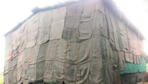 silk Farming