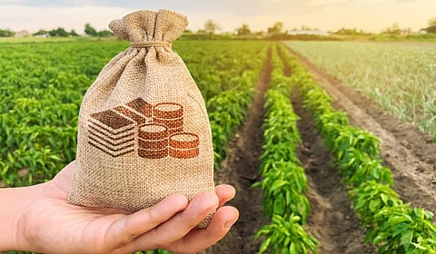 Crop Loan