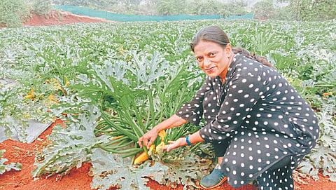 Women Farmer