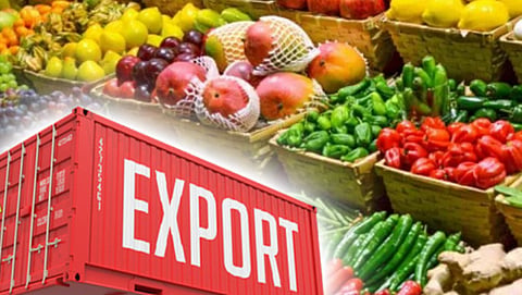 Agriculture Export