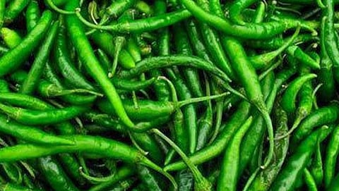 Green Chili Nagar Market