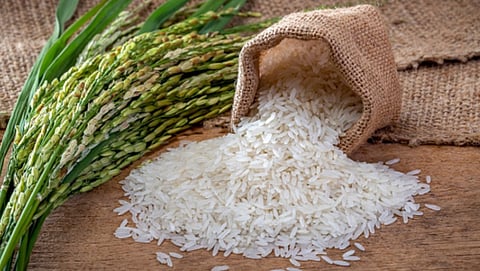 Rice Exports