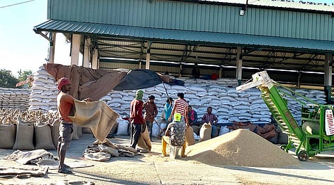 Wheat Procurement