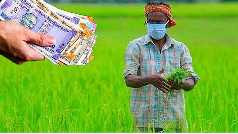 Crop loan