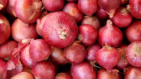 Onion Market