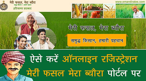 Crop Insurance