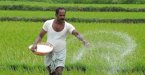 Fertilizer Subsidy