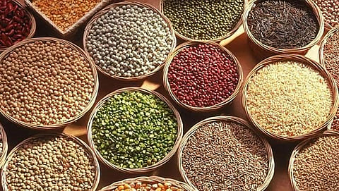 Millet Year