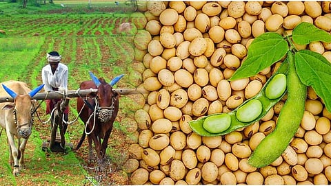 Kharip Sowing