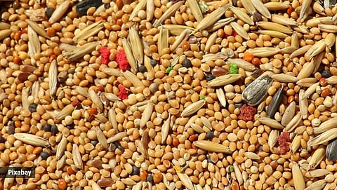 Millet's
