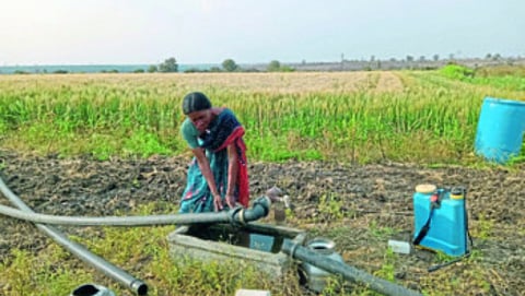महानंदा टोम्पे