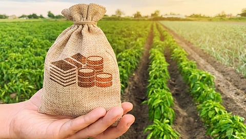 Farmer Income