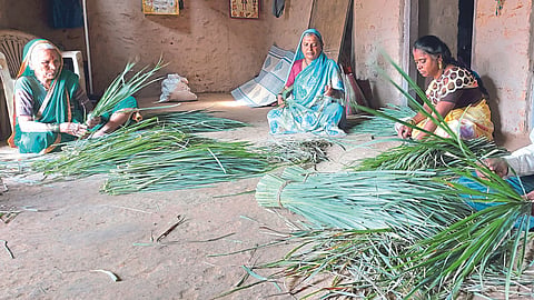 Lemon Grass