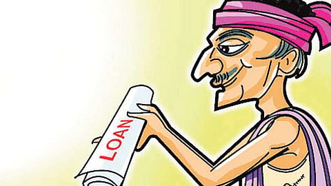 Crop Loan
