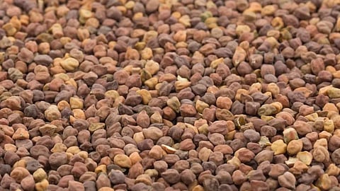 Chana Market