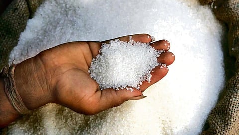 Sugar Production