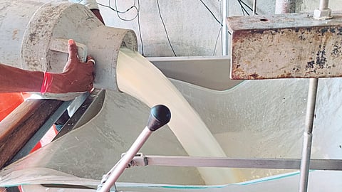 Dairy Business