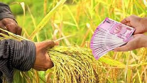 Farmer Loan Waive