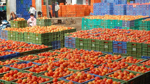 Tomato Rate