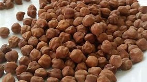 Chana Bajarbhav