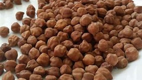 Chana Procurement