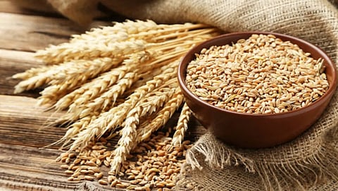 Wheat Prices