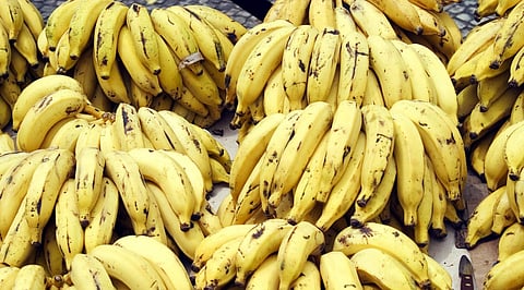 Banana Production