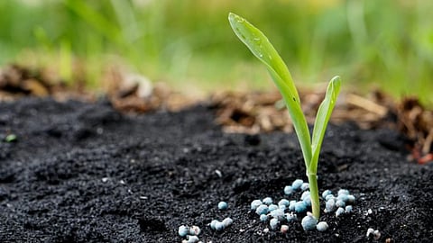 Fertilizer Shortage