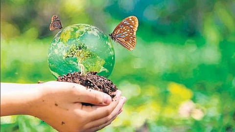 Biodiversity