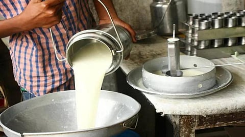 Milk Rate