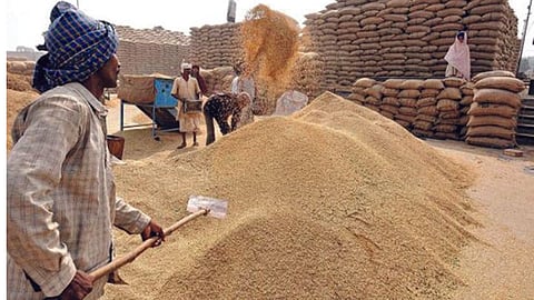 Food Security