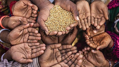 Food Security