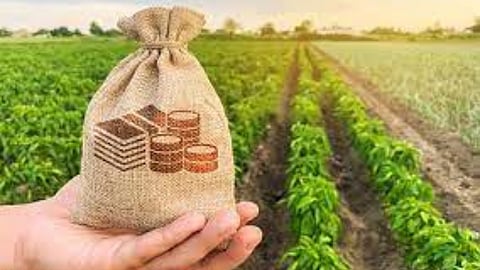 Agriculture Loan