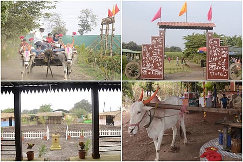 Agriculture Tourism