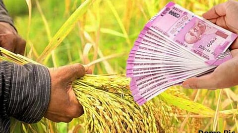 Agriculture Subsidy