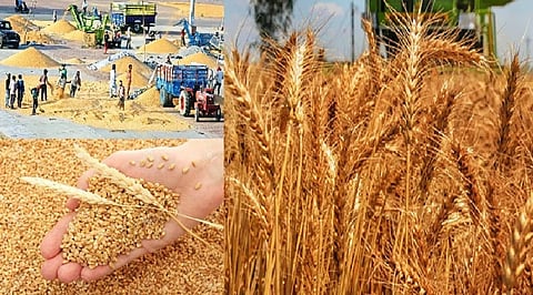 Wheat Export
