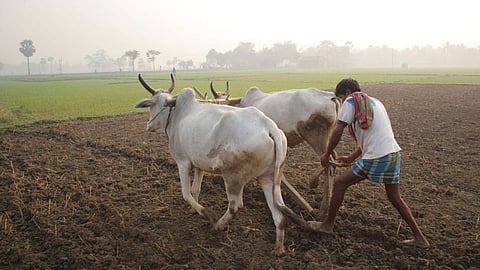 Kharif Season